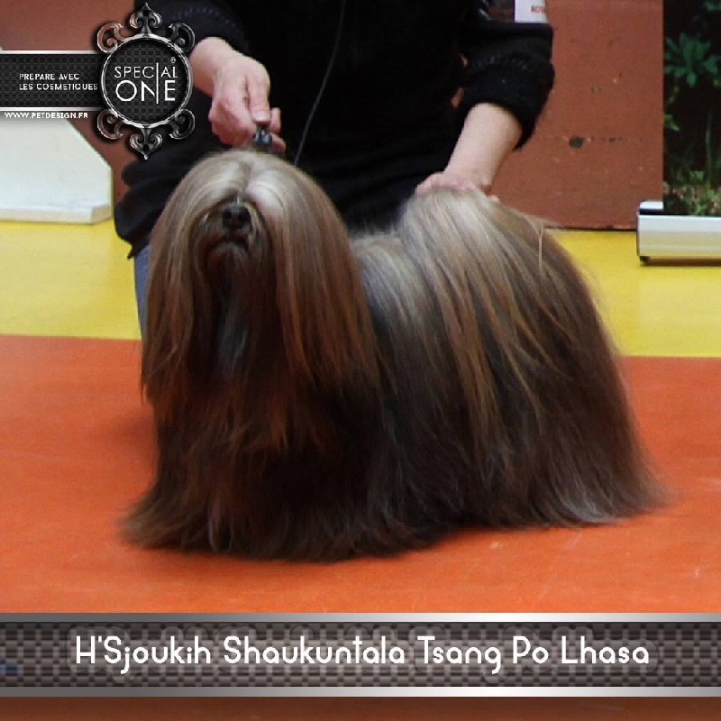 H'sjoukih shaukuntalah tsang po lhasa